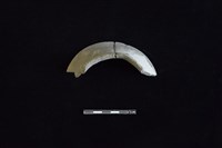 陶罐藏品圖，第2張